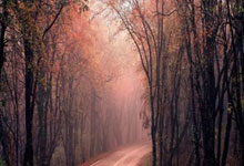 西甲第6輪皇家馬德裏6-1馬洛卡 阿森西奧帽子戲法本澤馬梅開二度.