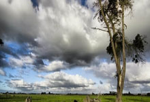 西甲第6輪皇家馬德裏6-1馬洛卡 阿森西奧帽子戲法本澤馬梅開二度.