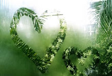 西甲第8輪西班牙人2-1皇家馬德裏 德托馬斯首開紀錄本澤馬破門難救主.