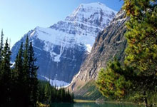 現役助攻20+ 珍稀神龜一騎絕塵 三個20助攻的傳奇時刻 魔法師連場助攻優秀表現.