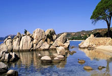 金年会体育官网入口：詹俊：日本隊進攻端沒有起到應有的作用，隊友間的信任明顯不足.